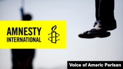 گزارش سازمان عفو بین‌الملل