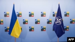 Прапори України та НАТО на полях саміту НАТО у Вільнюсі, 12 липня 2023 року. (Фото Odd ANDERSEN / AFP)