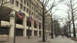 Gripe aviar en vacas lecheras en EEUU: ¿Qué dicen los expertos?