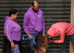 Seorang pria mengelus anjing peliharaannya saat Bahaa Magdy dan istrinya Hebatallah Adel, anggota 'Aleefcom paxi untuk transportasi hewan peliharaan', menjemput penumpangnya tersebut di Kairo, Mesir, 20 Maret 2021. (REUTERS / Hanaa Habib)