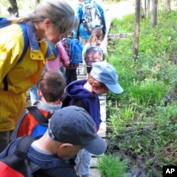 Teacher Laura Peterson and her students examine a stream during Hike Day.
