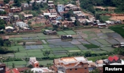 FILE - A general view shows rice paddy fields within residential houses in Madagascar's capital Antananarivo.