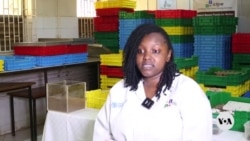 Kenyan scientists study mealworm they say can break down plastics