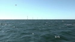 Climate Scientists Fear Trump Victory Will Freeze Global Warming Progress