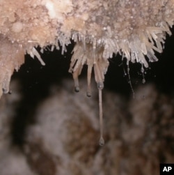 Snottite is a rare form of gooey, dangling, toxic bacteria that looks like mucus.