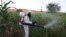 FILE - A man sprays pesticides against a swarm of locusts at a farm in Jawaha village near Kamise town, Amhara region, Ethiopia, Oct. 15, 2020. (Reuters)