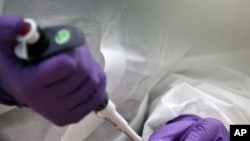 Petugas tampak menyiapkan fragmen tulang manusia untuk sebuah tes DNA di sebuah laboratorium di Kantor Kepala Pemeriksaan Medis di New York, AS, pada 15 April 2014. Tes DNA tersebut merupakan bagian dari upaya identifikasi terhadap korban serangan 11 September 2001 (Foto: AP)