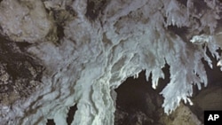 This photo by Dave Bunnell of the Chandelier Ballroom in Lechuguilla Cave shows him standing by the largest known gypsum stalactites in the world.