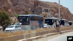 This photo from the Syrian official news agency shows buses carrying Syrian citizens who were evacuated from Damascus' besieged northeastern Barzeh neighborhood, May 8, 2017.