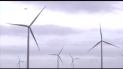 WHO Calls for Public Health Agenda at Paris Climate Summit