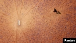 A lone tree stands near a water trough in a drought-effected paddock on Jimmie and May McKeown's property on the outskirts of Walgett, in New South Wales, Australia, July 20, 2018.