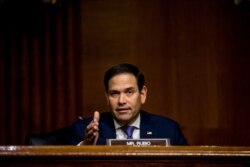 سناتور مارکو روبیو، جمهوریخواه از ایالت فلوریدا