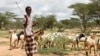 The people of northern Kenya have traditionally been pastoralists, since the land has long been considered too dry for farming, Nov. 28, 2014. (Hilary Heuler/VOA)