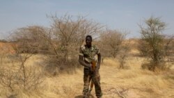 Niger sɔrɔdasi 11 fagara binkanni jihadi kulu dɔ fɛ, Al-Qaida 