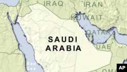 Saudi Arabia Says It Searched for Missing Iranian Scientist