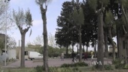 Italy Opposition Looks to Exploit Migrant Crisis in Wake of PM Resignation