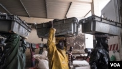 FILE - Overfishing in West African waters has depleted stocks of high-quality fish, such as a local grouper known as thiof in Senegal, Joal, Senegal, May 29, 2017. (R. Shryock/VOA)
