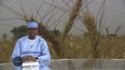 Halin da monoman shinkafa a Zabarmari na jihar Borno ke ciki bayan da mayakan Boko Haram suka kashe kinamin hamsin, da ya sa wasu kaura