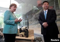 德国总理默克尔（Angela Merkel）和中国国家主席习近平于2017年7月5日在德国柏林动物园出席了中国熊猫"梦梦"和"娇庆"的欢迎仪式。