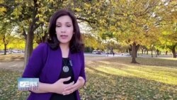 امریکی الیکشن میں ریاست نیواڈا کیوں اہم ہے؟