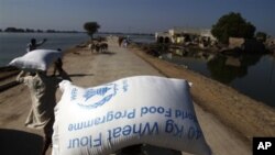 Flood survivors carry bags of wheat flour in the village Khairpur Nathan Shah, Pakistan (file photo)