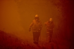 Firefighters tackle a bushfire in thick smoke in the town of Moruya, south of Batemans Bay, in New South Wales, Jan. 4, 2020.