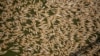 Thousands of dead fish are seen washed up at the Menindee township bridge at the Menindee lakes, in outback New South Wales, Australia March 19, 2023. AAP Image/Samara Anderson via REUTERS