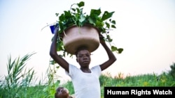 Atilia M. and her son harvest vegetables in a plot along the Revuboë River near their village, Capanga, before resettlement. (Samer Muscati/Human Rights Watch)