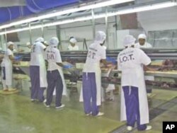 Seychelles workers process and package tuna in the capital, Victoria