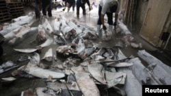 Workers cut off fins from frozen carcasses of a sharks at a fish processing plant in Kaohsiung, southern Taiwan, November 15, 2011.