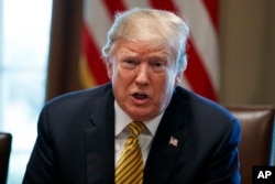 President Donald Trump speaks in the Cabinet Room of the White House, April 4, 2019.