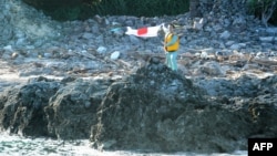 A Japanese activist waves the country's flag after landing on a group of islands known as Senkaku in Japanese and Diaoyu in Chinese, August 19, 2012.