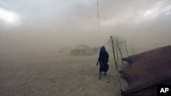 A Tuareg woman walks during a sandstorm in Ingal, Niger, September 18, 2011.