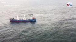 Enjambre flotante: El futuro incierto de las islas Galápagos