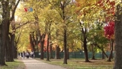 5K (Lima Kilometer): Musim Gugur di Washington DC