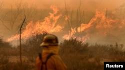 د کلېفورنیا په ځینو سیمو کې اور لگېدنې په ١٢ساعتونو کې ٦ زره هکټاره ځمکه سوځولې