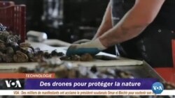 Des drones pour étudier l’impact de certaines pratiques piscicoles