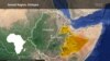Calls Grow for Ethiopia's Somali Region to End Media Suspensions 