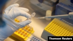 Muchos países del mundo compiten por desarrollar una vacuna segura y efectiva contra el coronavirus. Estados Unidos y Europa buscan comprar por adelantado la producción de una vacuna para sus poblaciones.