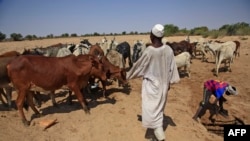 Le village de Hamada, dans le sud du Darfour, au nord de la capitale de la région, Nyala, le 3 février 2021.