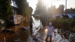 Pig farmer Cheng, 47, wades through floodwaters with a pig carcass following heavy rainfall in Wangfan village of Xinxiang, Henan province, on July 25, 2021. (Source: Aly Song/Reuters)