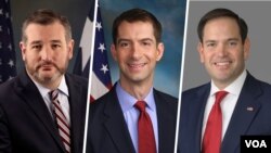 از راست: مارکو روبیو، تام کاتن، و تد کروز، در میان هفت سناتوری هستند که این نامه را امضا کردند