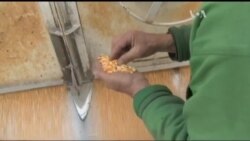 Ця угода США з країнами Азії може "озолотити" американських фермерів. Відео