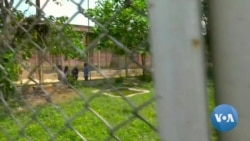 Slowly Saving Pakistan's Endangered Vultures