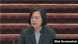 2020年3月19日台湾总统蔡英文在台北总统府针对新冠病毒疫情发表讲话。（台湾总统府视频截图）