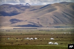 FILE - Yaks graze around tents set up for herders to live in the during the summer grazing season on grasslands near Lhasa, in western China's Tibet Autonomous Region, on June 2, 2021.