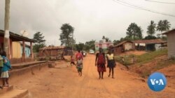 As Ghana Tries to Raise Cocoa Farmers' Incomes, Farms Destroyed