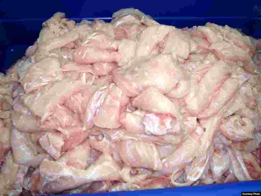 The choicest cuts of alligator meat come from the tail. (Courtesy Mark Glass) 