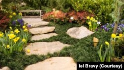 Garden Path with stones and blooming flowers