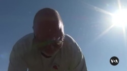 US farmers weigh tariffs, farm bill as Election Day nears